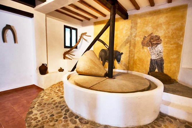 Oleotourism and olive oil tasting in Seville - Private tour - Tasting 4 olive oil varieties: how to make the flavors click
