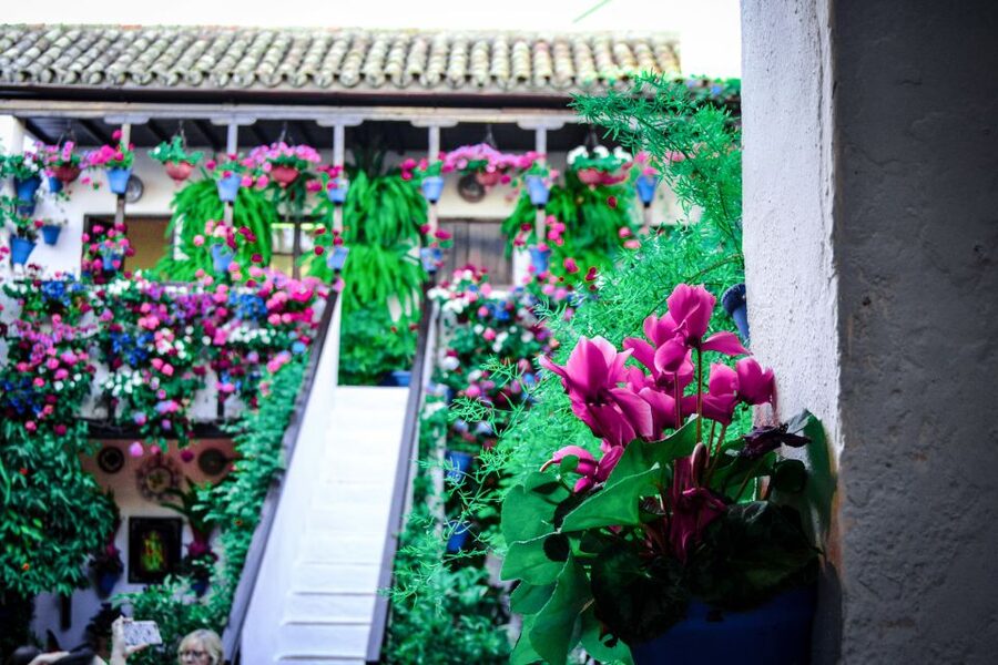 Patios of Cordoba Walking Tour - Key highlights worth putting on your radar
