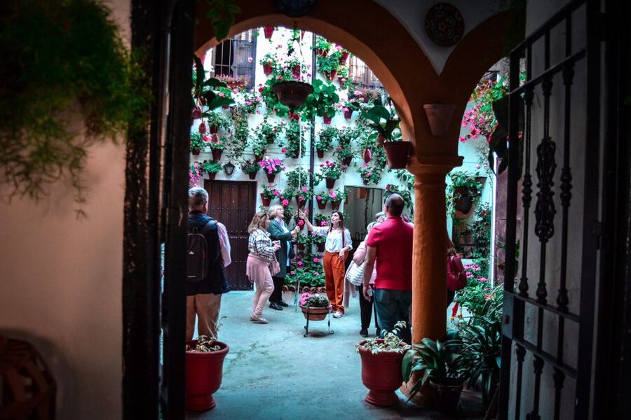 Patios of Cordoba Walking Tour - Flowers, Mosaics, and How the Tradition Is Kept Alive