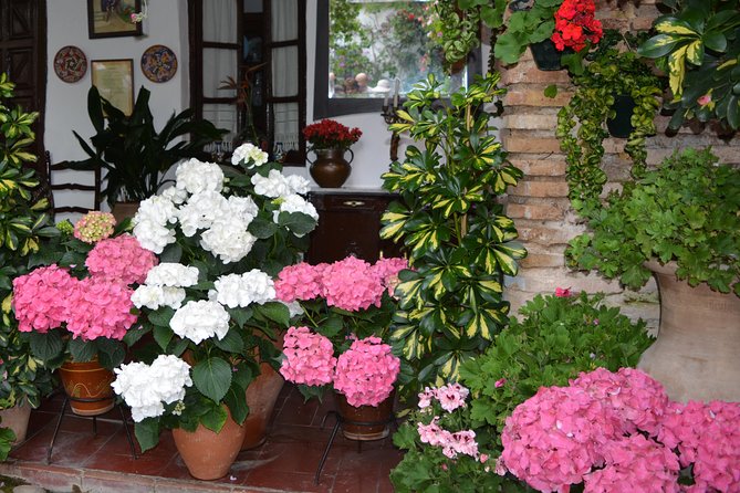 Patios & Perfums of Cordoba Festival Tour - Key Things You’ll Notice