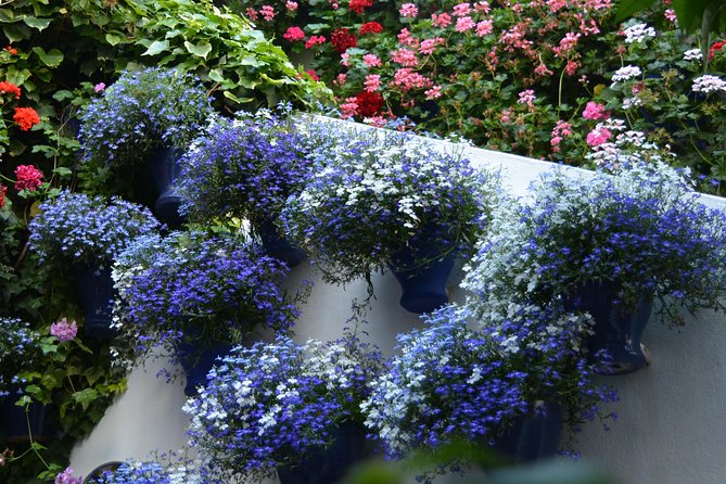 Patios & Perfums of Cordoba Festival Tour - Stop 1: Patios de Córdoba, 10 to 15 Private Courtyards