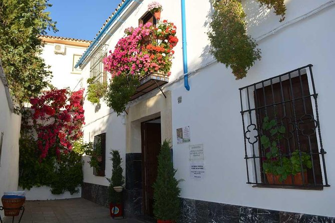 Patios & Perfums of Cordoba Festival Tour - Wine and Tapa: Montilla-Moriles at a Local Tavern