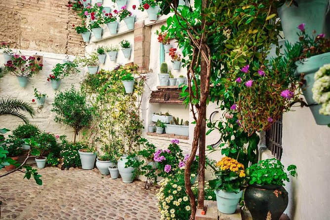 Patios tour in Cordoba - Why Córdoba’s Patios feel personal, not just pretty