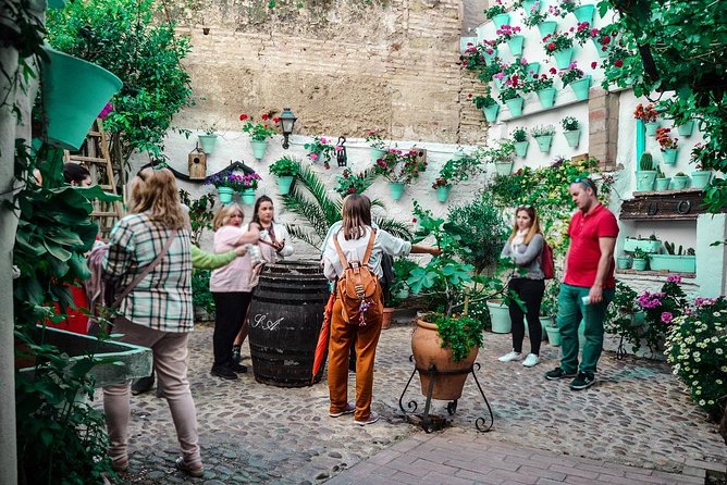 Patios tour in Cordoba - Your guide, and why the right tone matters in a patio tour