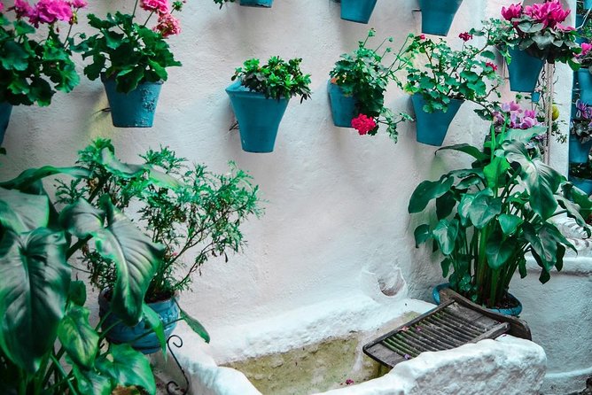 Patios tour in Cordoba - What kind of traveler will love this patios tour