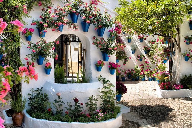 Patios tour in Cordoba - Viana Palace patios, where a 14th-century palace meets garden life