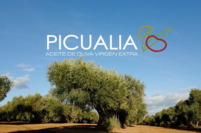 Picualia, olive oil mill tour & EVOO tasting - Key highlights you should care about