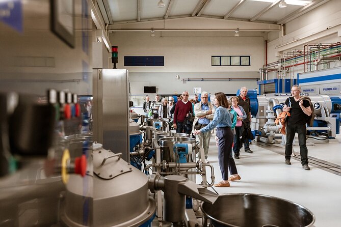 Picualia, olive oil mill tour & EVOO tasting - Start smart at the PICUALIA meeting point