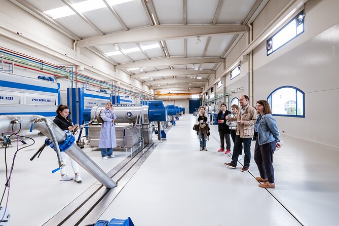 Picualia, olive oil mill tour & EVOO tasting - Olive grove stop: why the picual variety matters