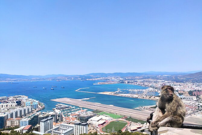Premium private trip to Gibraltar from Seville (multiple options) - Upper Rock Nature Reserve: why the order matters