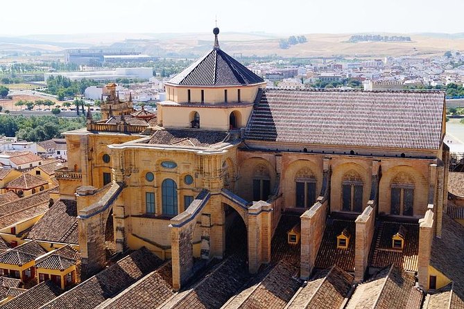Private 3-hour Walking Tour of Cordoba with official tour guide - Alcazar de los Reyes Cristianos: medieval walls, your decision on entry