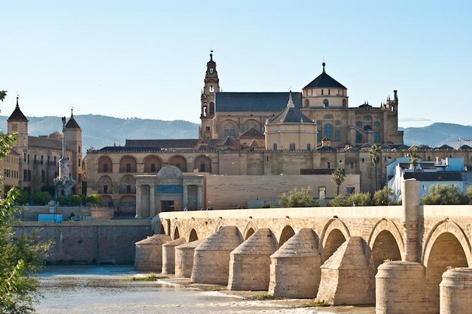 Private 3-hour Walking Tour of Cordoba with official tour guide - Logistics that make or break a walking tour