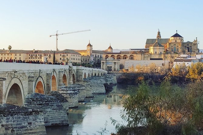 Private Córdoba Highlights Walking Tour - Key highlights to look for