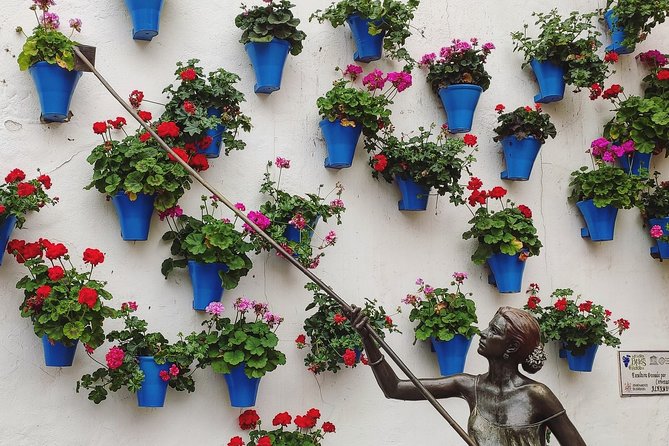 Private Córdoba Highlights Walking Tour - Walking the UNESCO Historic Centre, with patios and narrow streets in mind
