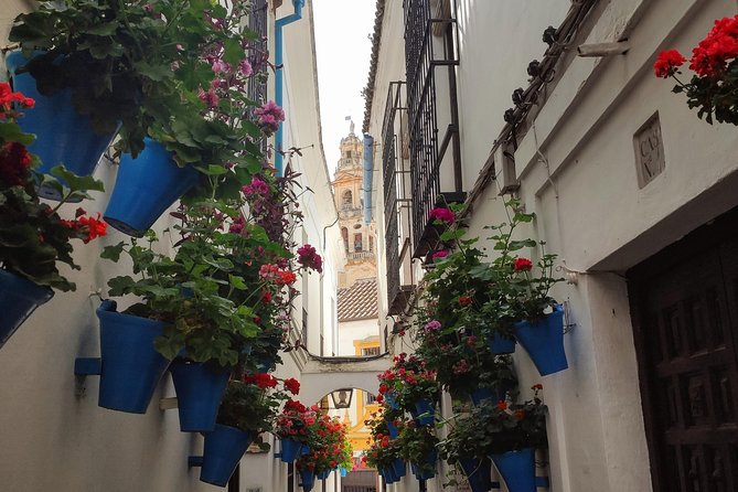 Private Córdoba Highlights Walking Tour - Best fit: who should book this tour