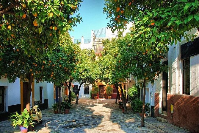 Private Day Trip from Cadiz port to Seville (tickets and transport included) - Seville Cathedral and Columbus tomb: big Gothic, tight time, real payoff