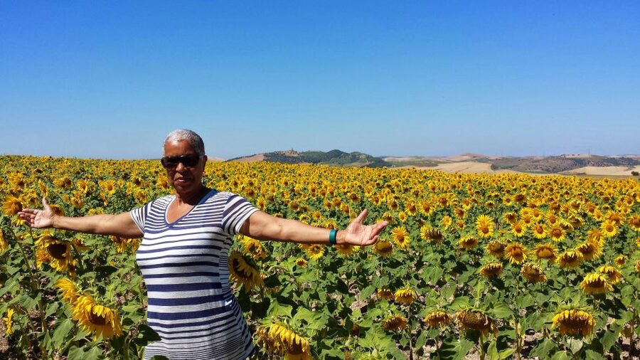 Private Day Trip to Ronda and Malaga from Seville - From Seville to Ronda, where the scenic drive actually matters
