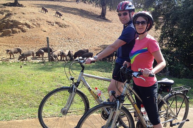 Private Ebike full day excursion to Sierra Norte Natural Park - Key highlights to look forward to