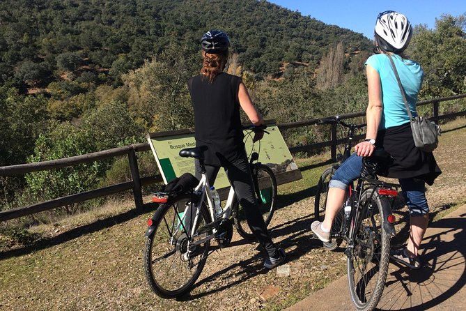 Private Ebike full day excursion to Sierra Norte Natural Park - From Seville to the Sierra Norte on pedal power that actually helps