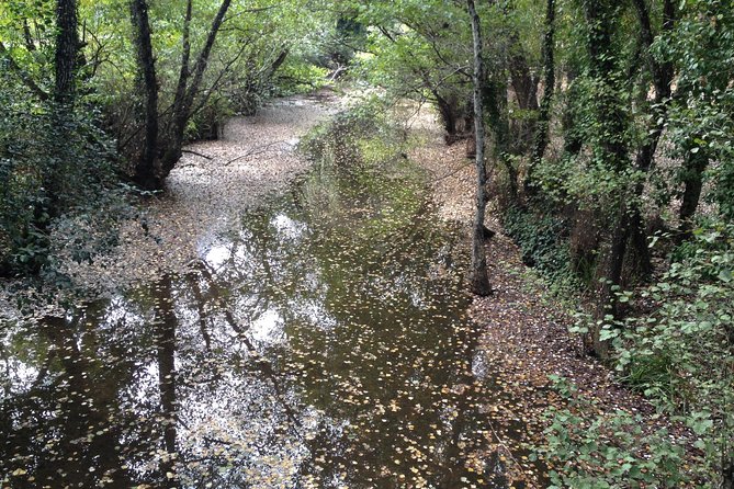 Private Ebike full day excursion to Sierra Norte Natural Park - San Nicolás del Puerto: where lunch and local products enter the plan