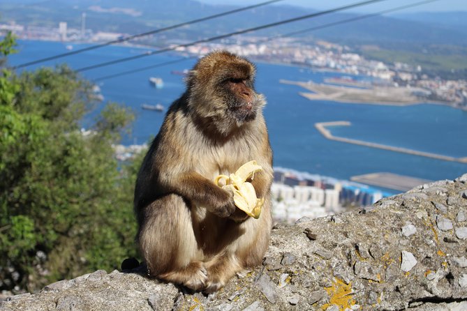 Private Gibraltar Day Tour from Seville - Tickets Included: Why It’s More Than a Line Item