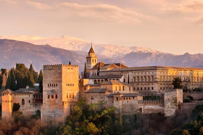 Private Granada Alhambra Tour from Seville - Nasrid Palaces, Generalife gardens, and Alcazaba views, what to expect