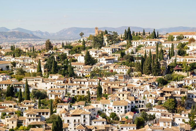 Private Granada Day Trip including Alhambra and Generalife from Seville - The guide experience: what “private” can mean in practice