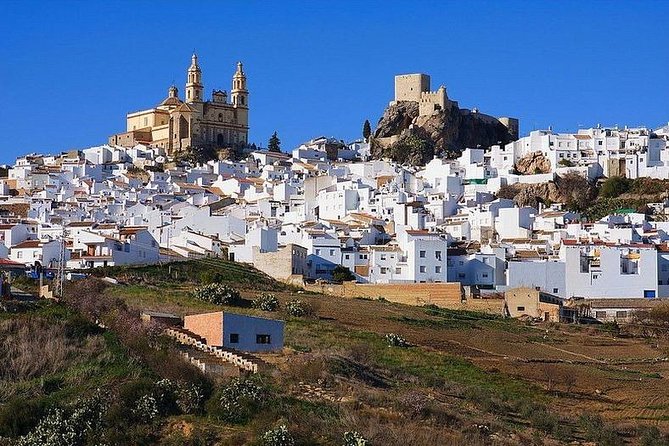 Private Guided Day Trip to the White Villages and Ronda from Seville - Ronda and Puente Nuevo: Guided History, Best Viewpoints, and Time to Wander
