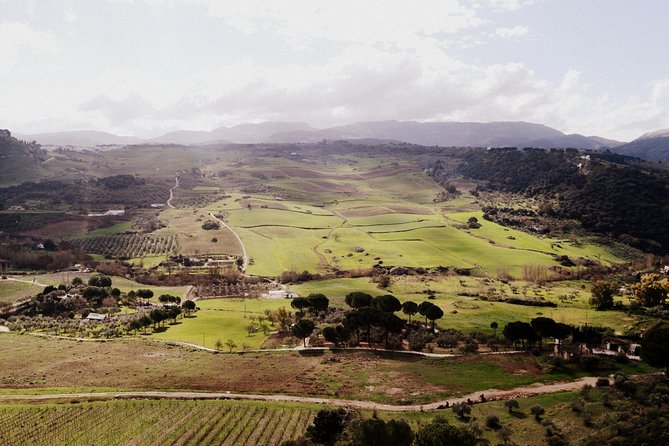 Private Guided Day Trip to the White Villages and Ronda from Seville - When Guides Matter: Peter, Lucca, David, and More