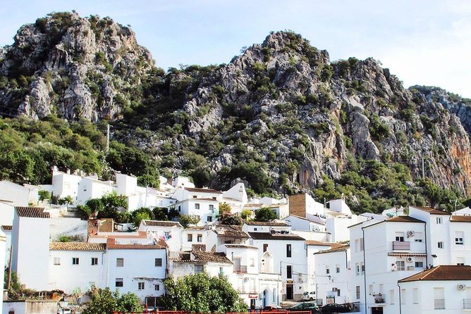 Private Guided Day Trip to the White Villages and Ronda from Seville - The One Thing to Watch Before You Book