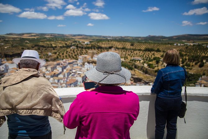 Private Guided Day Trip to the White Villages and Ronda from Seville - Setenil de las Bodegas: Strolling Streets Under the Rock Overhangs