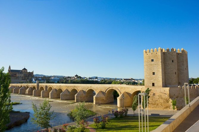 private guided walking tour of the historic center of Córdoba - Key highlights you should care about