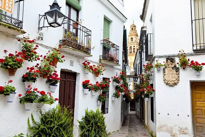 Private Mosque-Cathedral Tour in Cordoba - The Guide Factor: When the Building’s Story Clicks
