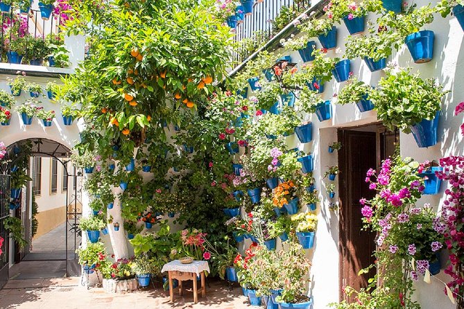 Private Multiday: Cordoba,Granada, Alhambra & Seville from Malaga - Private Guidance That Feels Human, Not Scripted