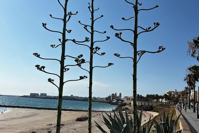 Private tour Cadiz: the city of light - Quick hits: what makes this tour worth your time