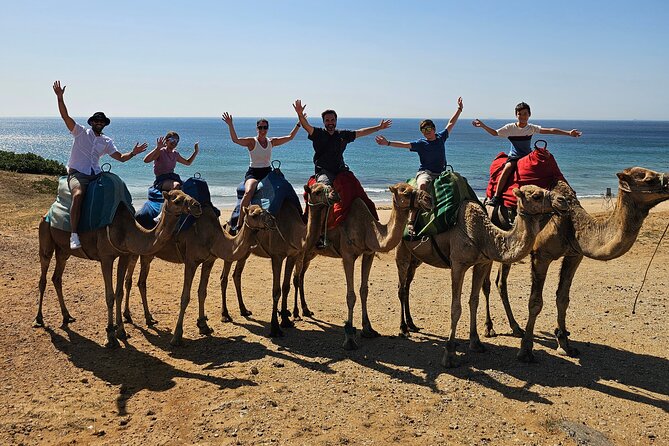 Private Tour: Day through Gibraltar and Morocco, Tangier from Seville - Key highlights worth packing for