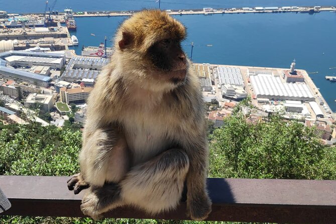 Private Tour: Day through Gibraltar and Morocco, Tangier from Seville - Tangier: Kasbah Streets, Souk Colors, and the Cape Spartel Moment