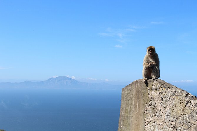 Private Tour: Day through Gibraltar and Morocco, Tangier from Seville - Lunch and Moroccan Tea: When the Day Feels Human