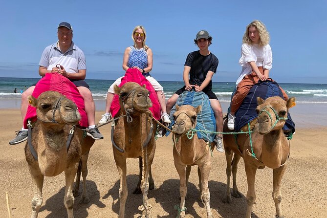 Private Tour: Day through Gibraltar and Morocco, Tangier from Seville - Guides Make or Break a Cross-Border Day