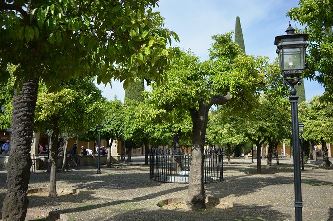 Private Tour of Cordoba Week Days 2 Hours Tickets included - Private Cordoba in about 2 hours: what you really get