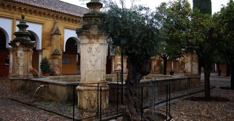 Private Tour of the Mosque-Cathedral and Jewish Quarter - Judería de Córdoba: Narrow Streets, Bigger Context