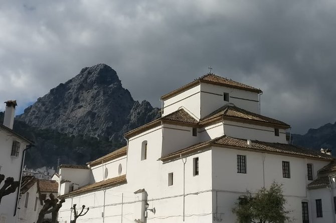 Private Tour Ronda and White Villages from Seville - Sierra de Grazalema Natural Park and the Oil Mill: What 45 Minutes Really Means