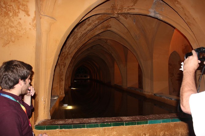 Private Tour: Seville Day Trip from Granada - Food, breaks, and the long-day pacing you should plan for