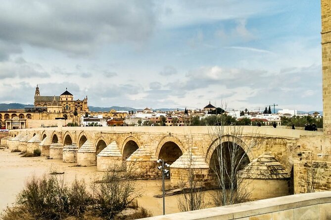 Private tour to Cordoba from Seville (several options) - Key Highlights You Will Actually Feel on This Tour