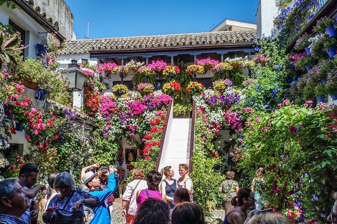 Private tour to Cordoba from Seville (several options) - Getting From Seville to Cordoba With a Real Plan