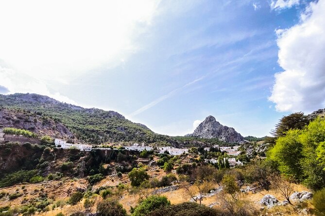 Private tour to Ronda from Seville (several options) - Lunch and Pacing: Making the Day Feel Like Yours