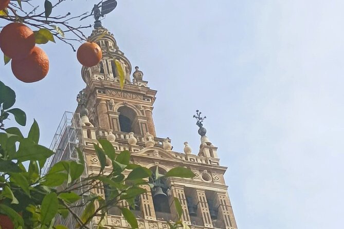 Private Tour with Local Guide to know the Seville Essential - Start at Archivo General de Indias, the smartest meeting point in town