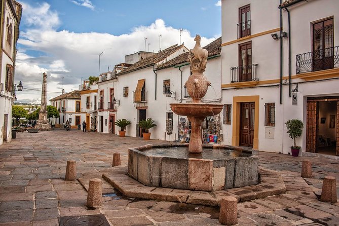Private tourist route in Córdoba - Ricardo Bon Pinilla’s guiding style, based on what consistently lands