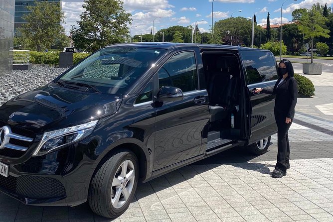 Private transfer from/to Seville to/from Granada with optional stop in Cordoba - Meet Your Chauffeur: Punctual Pickup and Basic English