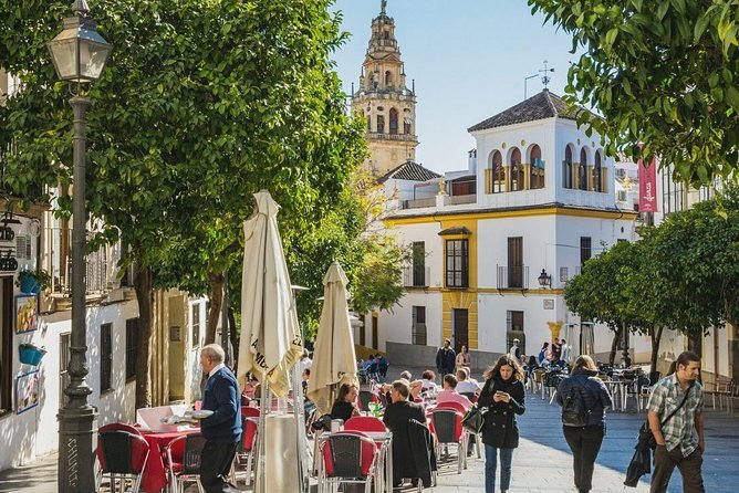 Private Transfer Seville to Granada with a Tour of Cordoba/Mosque - Food on Your Terms: Cordoba Tapas Without the Pricey Trap